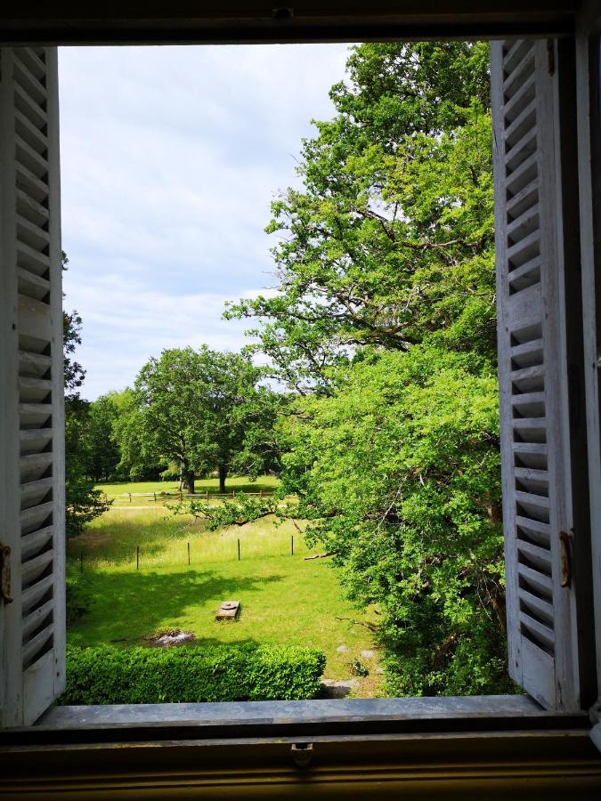 Chateau De Beauchene Chambres D'Hotes Allogny Exterior foto